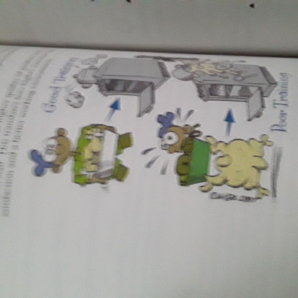 Book. Food safety - Picture 7 of 16